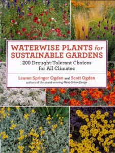 waterwise-plants