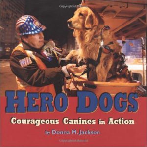 hero-dogs