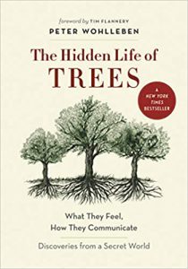 The hidden life of trees
