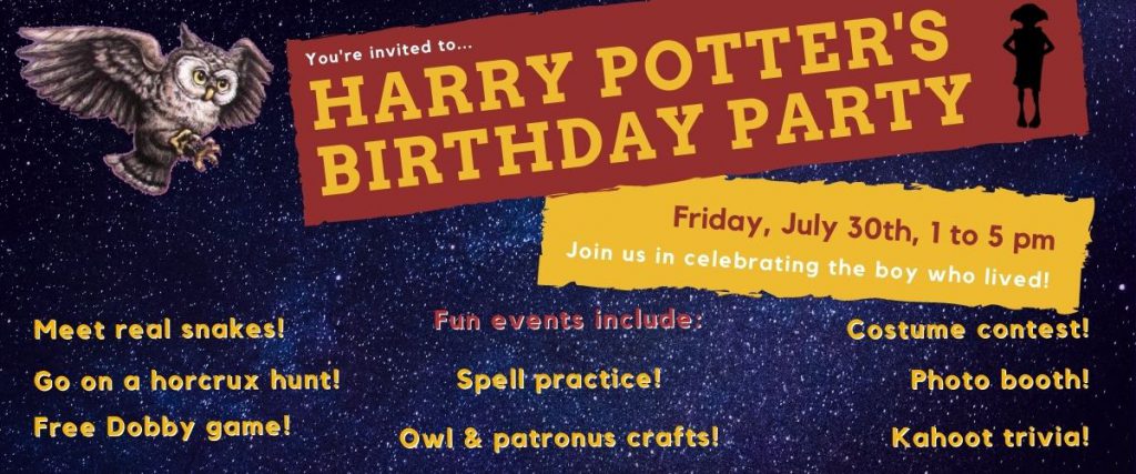  Harry potter's birthday party